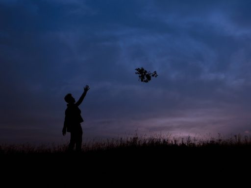 silhouette of man during sunset